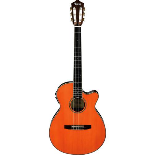 Ibanez AEG10NII Acoustic Electric Classical Guitar