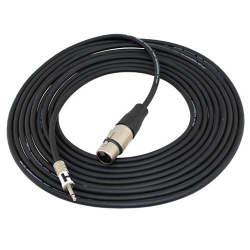 Pro Co Sound Mini Male to XLR Female Cable - 15