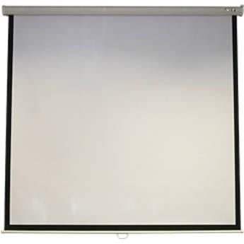 Acer M87-S01MW Manual Projection Screen