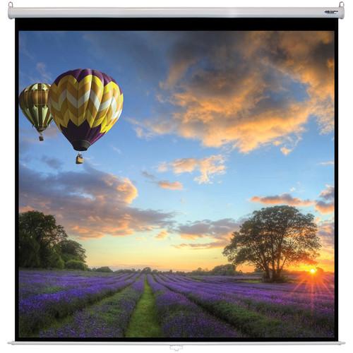 HamiltonBuhl WS-W106106 106 x 106" Manual Projection Screen