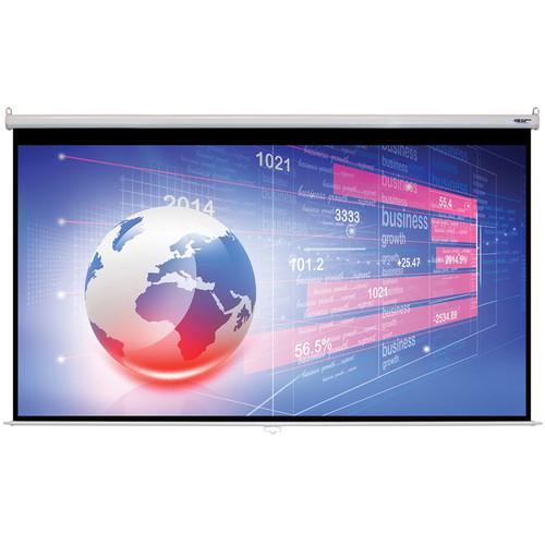 HamiltonBuhl WS-W74131 74 x 131" Manual Projection Screen