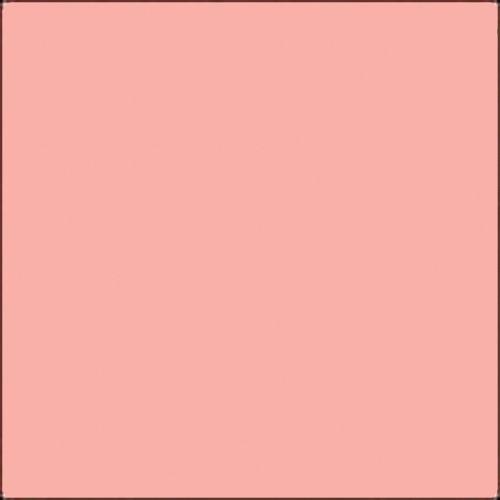 Gam GCB305 GamColor French Rose Colored Cine Filter #305