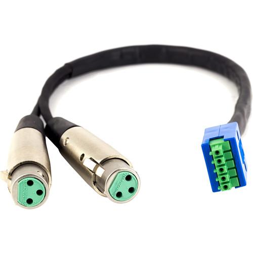 Lectrosonics Dual XLR3 Female to Phoenix 5-Pin Adapter Cable