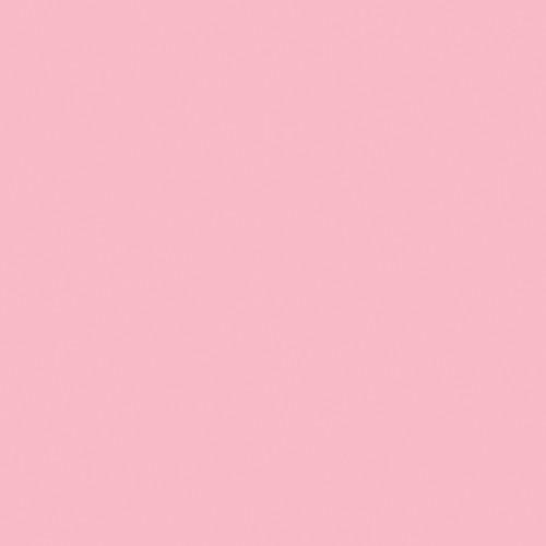 Rosco OPTI-FLECS 1 2 Minus Green Filter