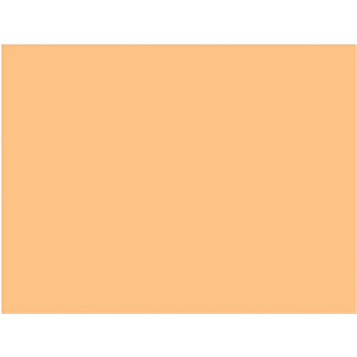 Rosco Cinegel #3408 RoscoSun 1 2 CTO Filter