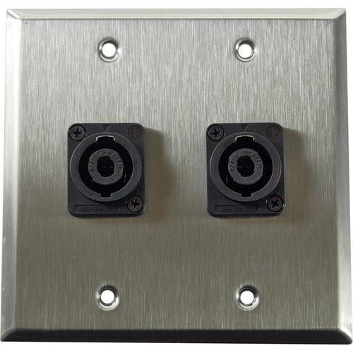 Whirlwind WP2 2NL4 2-Gang Wall Plate with 2 Neutrik NL4 Speakon Terminals