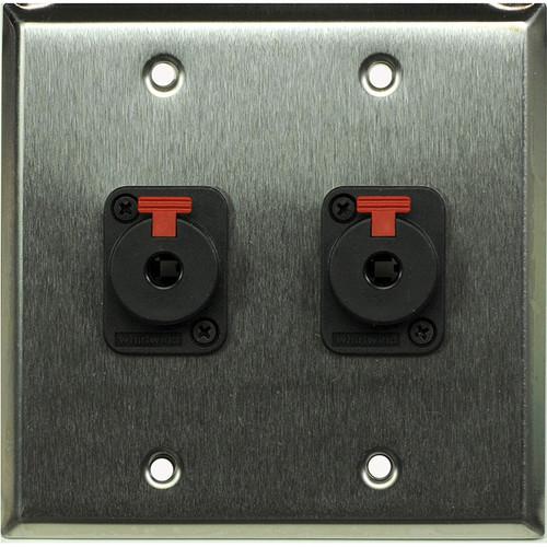 Whirlwind WP2 2QW 2-Gang Wall Plate with 2 Whirlwind WCQF 1 4" Terminals
