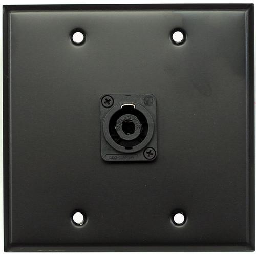 Whirlwind WP2B 1NL4 2-Gang Wall Plate with 1 Neutrik NL4 Speakon Terminal
