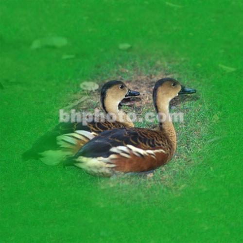 Cokin A075 Center Spot Wide Angle Green Filter