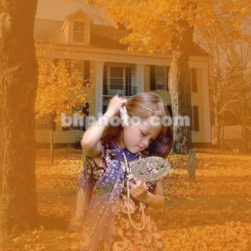 Cokin A076 Center Spot Wide Angle Orange Filter