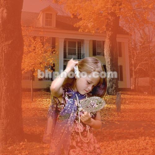 Cokin A078 Center Spot Wide Angle Red Filter