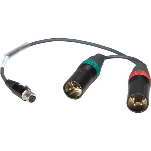 Ambient Recording VSL-2X3 TA5F to Dual XLR-3 Male Cable for V-Slot System