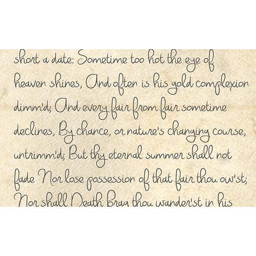 Savage Printed Background Paper