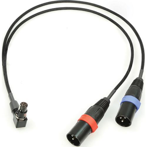 Remote Audio Balanced Stereo Breakout Cable TA5F RA to XLR3M