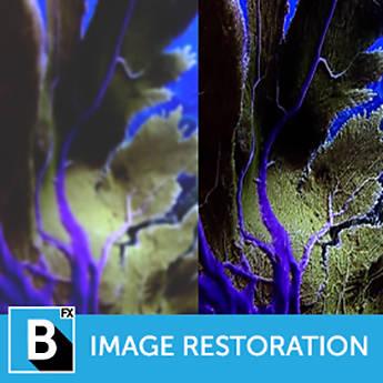 Boris FX Continuum 11 Image Restoration Unit