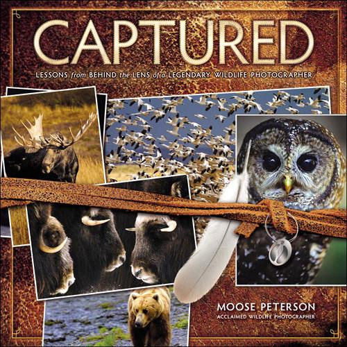 New Riders E-Book: Captured: Lessons from Behind the Lens of a Legendary Wildlife Photographer