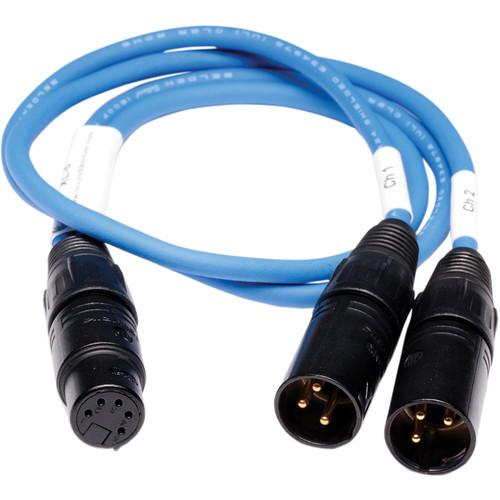 Video Devices XL-5 5-Pin XLR Female to Dual 3-Pin XLR Male Output Cable for PIX 220 240