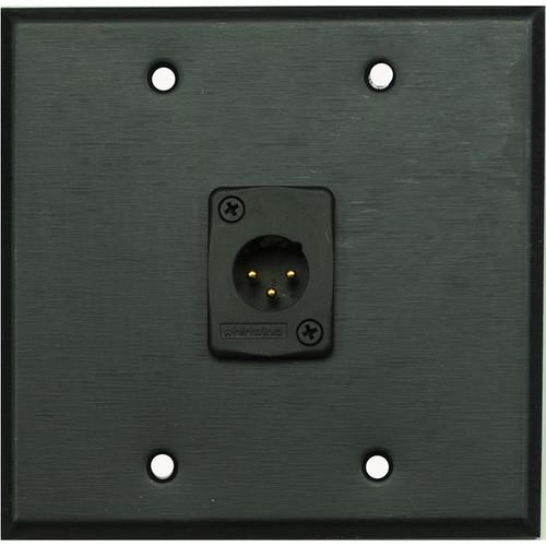 Whirlwind WP2B 1MW 2-Gang Wall Plate with 1 Whirlwind WC3M Male XLR Terminal