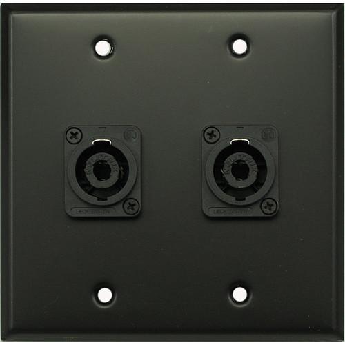 Whirlwind WP2B 2NL4 2-Gang Wall Plate with 2 Neutrik NL4 Speakon Terminals