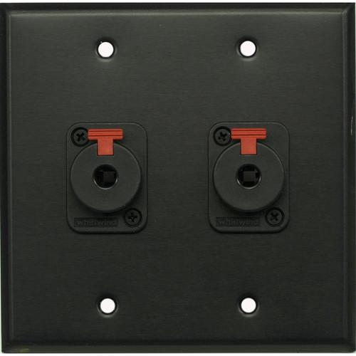 Whirlwind WP2B 2QW 2-Gang Wall Plate with 2 Whirlwind WCQF 1 4" Terminals