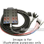 Whirlwind Medusa Power Series 16 Channel Snake Cable - 100