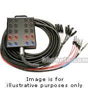 Whirlwind Medusa Power Series 8 Channel Snake Cable - 100