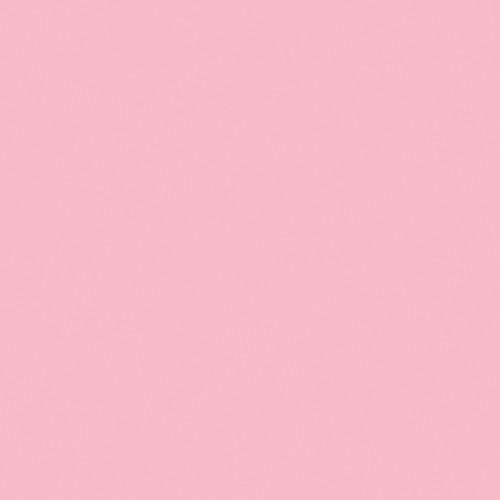 Rosco OPTI-FLECS 1 2 Minus Green Filter