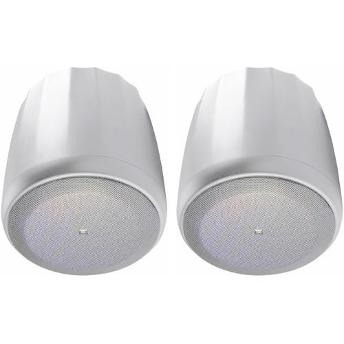 JBL Control 60PS T Pendant Subwoofer with Crossover