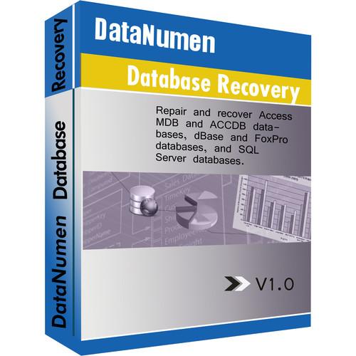 DataNumen Advanced Database Recovery