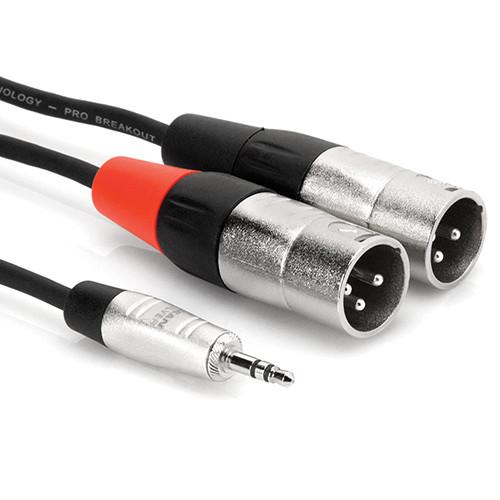 Hosa Technology Pro Stereo Breakout Cable - 3.5mm Stereo Mini to Dual 3-Pin XLR Male
