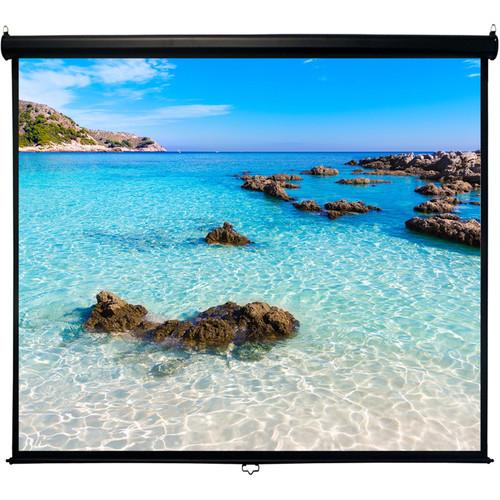 HamiltonBuhl WS-W59105BK 59 x 105" Manual Projection Screen