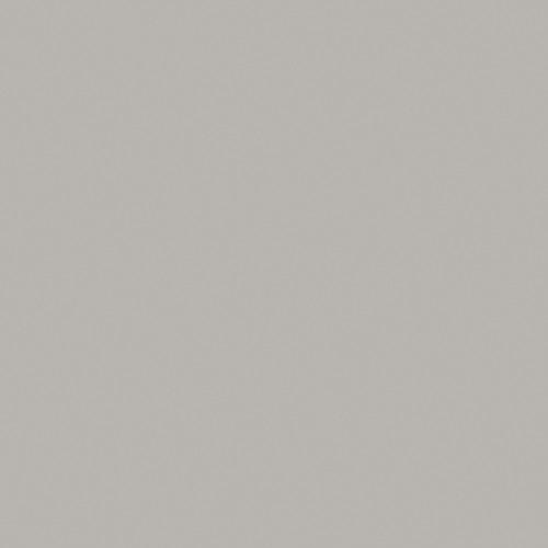 Rosco Roscolux Light Gray #97 Filter