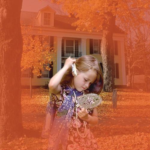 Cokin P078 Red Wide-Angle Center Spot Resin Filter