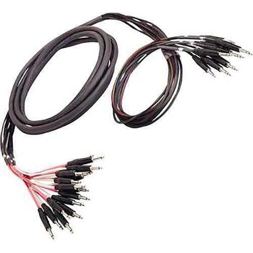 Whirlwind 4 1 4" TRS Male to 8 1 4" TS Male Snake Insert Cable - 15