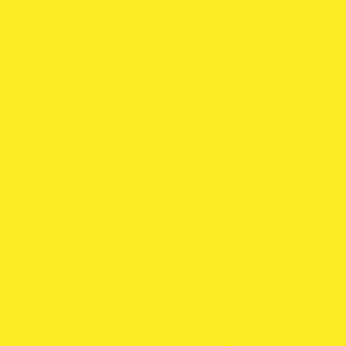 Rosco Fluorescent Lighting Sleeve Tube Guard