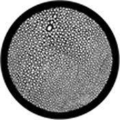 Rosco Standard Black and White Glass Spectrum Gobo #81127 Snakeskin
