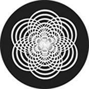 Rosco Standard Black and White Glass Spectrum Gobo #81146 Descent