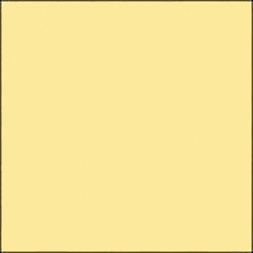 Savage Widetone Seamless Background Paper