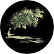 Rosco Standard Color Glass Spectrum Gobo #86704 Summer Glade