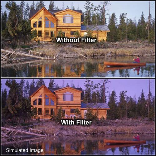 Formatt Hitech Solid Grape Filter