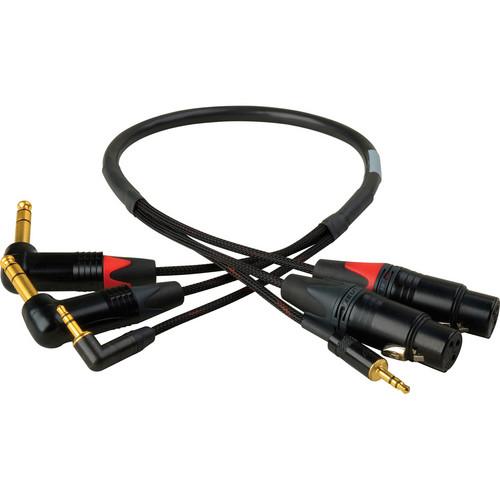 Laird Digital Cinema Dual Mono XLR to 1 4" TRS with 3.5mm Stereo Mini Return Audio Snake for Blackmagic Cinema & 4K Cameras