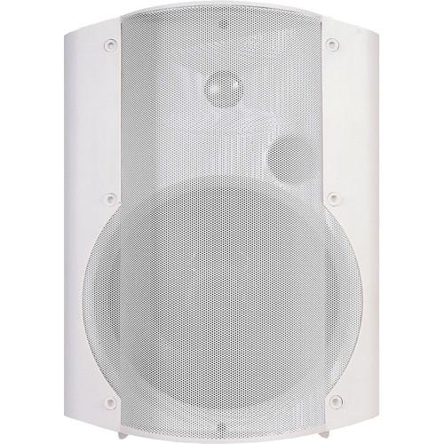 OWI Inc. 4Ω 6.5" Passive Surface Mount Cabinet Speaker