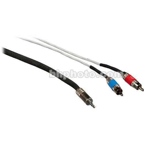 Pro Co Sound Stereo Mini to 2 RCA Male Soundcard Patch Y-Cable - 10