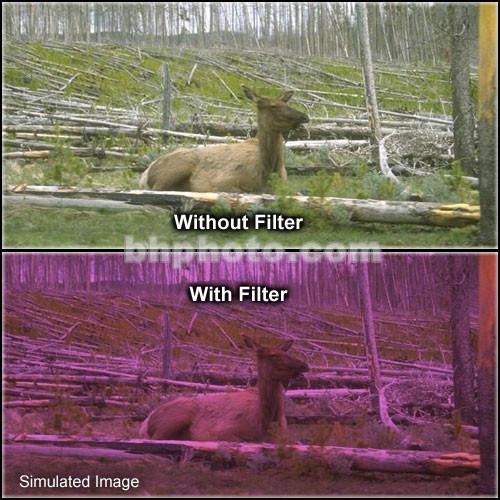 Tiffen 4 x 6" 2 Plum Hard-Edge Graduated Filter