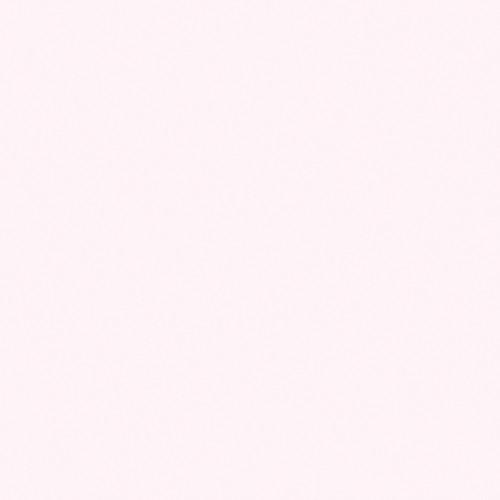 Rosco OPTI-FLECS Barely Minus Green Filter