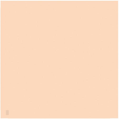 LEE Filters 807 Zircon Warm Amber 4 Filter