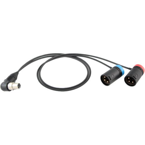 Cable Techniques CT-LP-SR5P-RR-15 Low-Profile Y-Cable for Lectrosonics SRc5P SRb5P Receivers