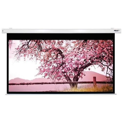 HamiltonBuhl HBS74131 74 x 131" Electric Projection Screen