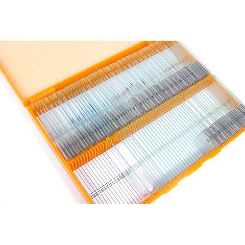 Levenhuk N80 NG "See it all" Slides Set