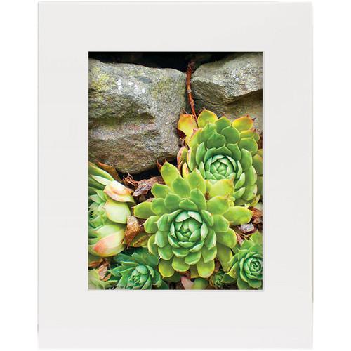 Lineco Basics 4-Ply Standard Fame Size Buffered 100% Rag Gallery Mat Board